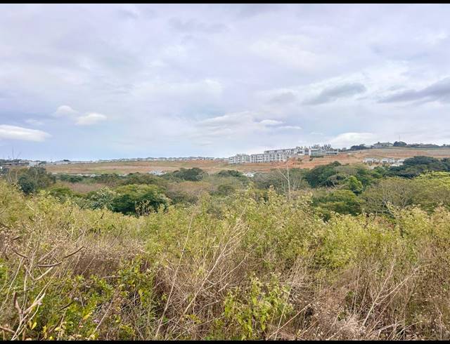 1,288M² VACANT LAND FOR SALE IN ZULULAMI LUXURY COASTAL ESTATE